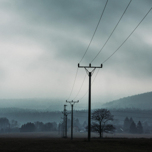 Power grid